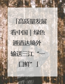高质量发展看中国｜绿色通道达境外 输送三江“一口鲜”