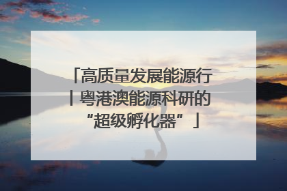 高质量发展能源行丨粤港澳能源科研的“超级孵化器”