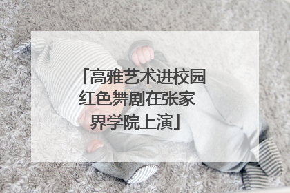 高雅艺术进校园 红色舞剧在张家界学院上演