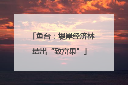 鱼台：堤岸经济林结出“致富果”
