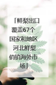 鲜梨出口覆盖67个国家和地区 河北鲜梨俏销海外市场