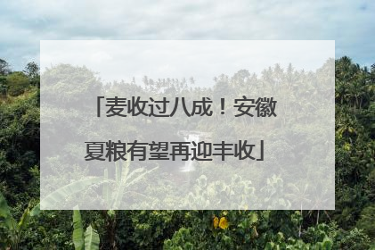 麦收过八成！安徽夏粮有望再迎丰收
