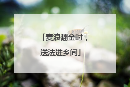 麦浪翻金时，送法进乡间