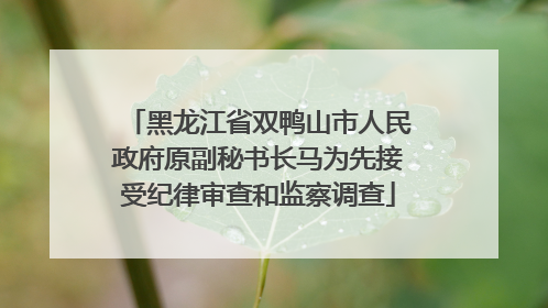 黑龙江省双鸭山市人民政府原副秘书长马为先接受纪律审查和监察调查