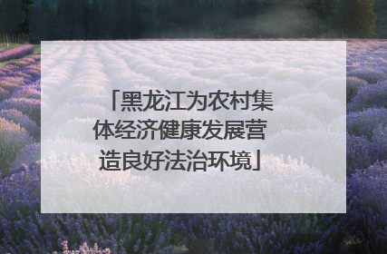 黑龙江为农村集体经济健康发展营造良好法治环境