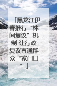 黑龙江伊春推行“林间复议”机制 让行政复议直通群众“家门口”
