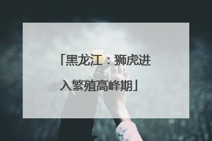 黑龙江：狮虎进入繁殖高峰期