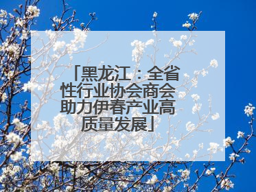 黑龙江：全省性行业协会商会助力伊春产业高质量发展