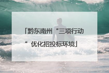 黔东南州“三项行动”优化招投标环境
