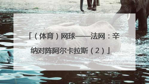 （体育）网球——法网：辛纳对阵阿尔卡拉斯（2）