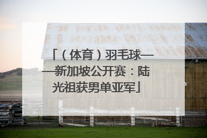 （体育）羽毛球——新加坡公开赛：陆光祖获男单亚军