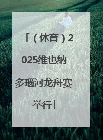 （体育）2025维也纳多瑙河龙舟赛举行