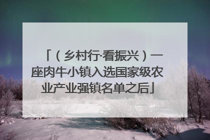 （乡村行·看振兴）一座肉牛小镇入选国家级农业产业强镇名单之后
