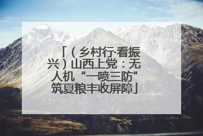 （乡村行·看振兴）山西上党：无人机“一喷三防”筑夏粮丰收屏障
