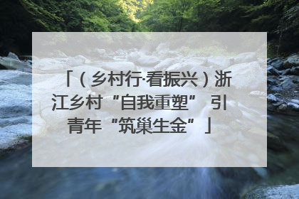 （乡村行·看振兴）浙江乡村“自我重塑” 引青年“筑巢生金”