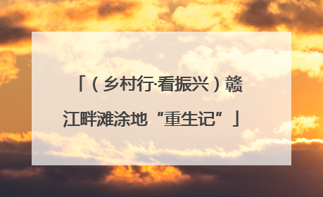（乡村行·看振兴）赣江畔滩涂地“重生记”