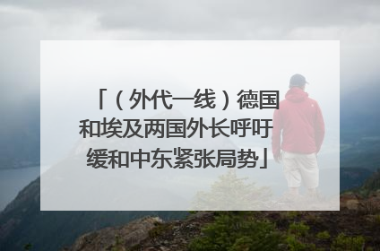 （外代一线）德国和埃及两国外长呼吁缓和中东紧张局势