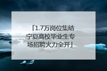 1.7万岗位集结 宁夏高校毕业生专场招聘火力全开