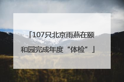 107只北京雨燕在颐和园完成年度“体检”