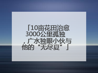 10亩花田治愈3000公里孤独，广水独眼小伙与他的“无尽夏”