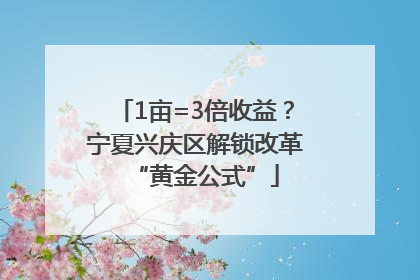 1亩=3倍收益？宁夏兴庆区解锁改革“黄金公式”
