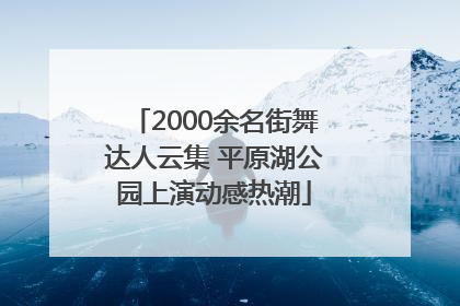 2000余名街舞达人云集 平原湖公园上演动感热潮