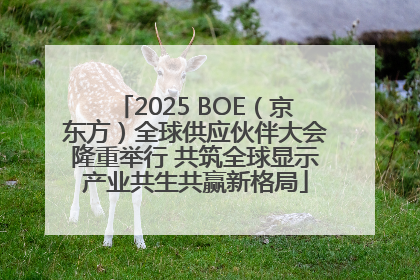 2025 BOE（京东方）全球供应伙伴大会隆重举行 共筑全球显示产业共生共赢新格局