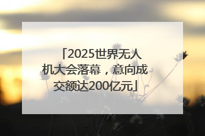 2025世界无人机大会落幕，意向成交额达200亿元