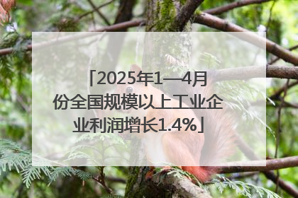 2025年1—4月份全国规模以上工业企业利润增长1.4%