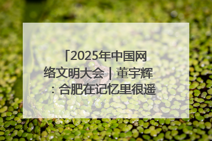2025年中国网络文明大会｜董宇辉：合肥在记忆里很遥远也很亲切
