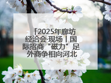 2025年廊坊经洽会·现场丨国际招商“磁力”足 外商争相向河北推介项目
