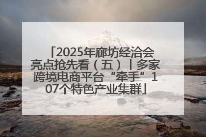 2025年廊坊经洽会亮点抢先看（五）丨多家跨境电商平台“牵手”107个特色产业集群