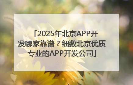 2025年北京APP开发哪家靠谱？细数北京优质专业的APP开发公司