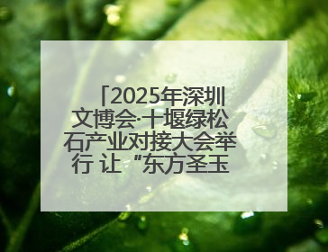 2025年深圳文博会·十堰绿松石产业对接大会举行 让“东方圣玉”闪耀世界