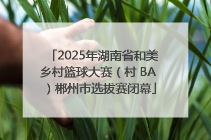 2025年湖南省和美乡村篮球大赛（村 BA）郴州市选拔赛闭幕