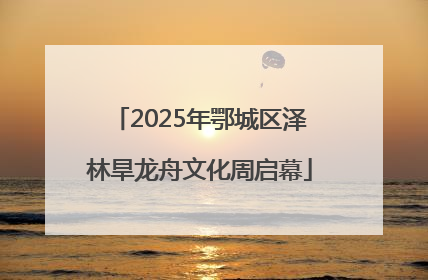 2025年鄂城区泽林旱龙舟文化周启幕