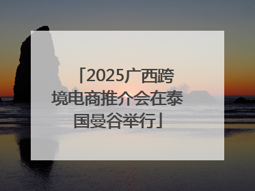 2025广西跨境电商推介会在泰国曼谷举行