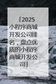 2025小程序商城开发公司排名，盘点优质的小程序商城开发公司