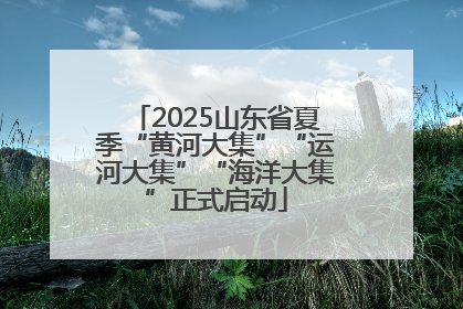 2025山东省夏季“黄河大集”“运河大集”“海洋大集”正式启动