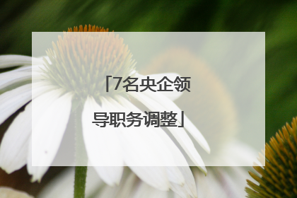 7名央企领导职务调整