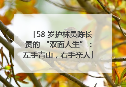 58 岁护林员陈长贵的 “双面人生”：左手青山，右手亲人