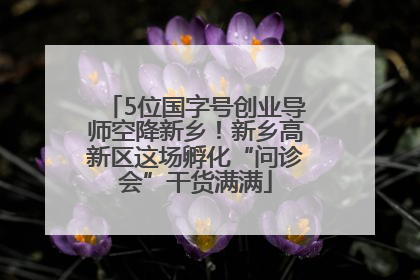 5位国字号创业导师空降新乡！新乡高新区这场孵化“问诊会”干货满满