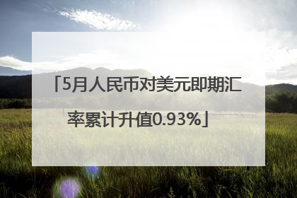 5月人民币对美元即期汇率累计升值0.93%