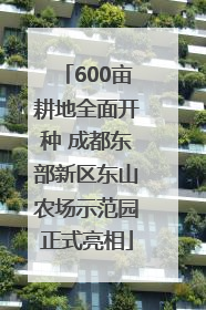 600亩耕地全面开种 成都东部新区东山农场示范园正式亮相