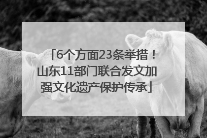 6个方面23条举措！山东11部门联合发文加强文化遗产保护传承