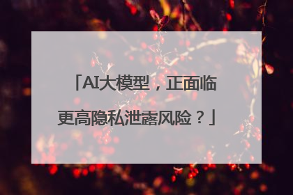 AI大模型，正面临更高隐私泄露风险？
