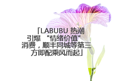 LABUBU 热潮引爆 “情绪价值” 消费，顺丰同城等第三方即配乘风而起