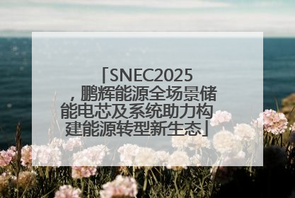 SNEC2025，鹏辉能源全场景储能电芯及系统助力构建能源转型新生态