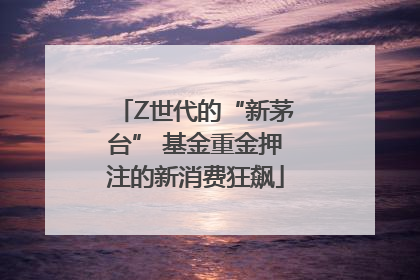 Z世代的“新茅台” 基金重金押注的新消费狂飙